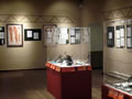 TAC, MRM Exhibition 2011 5